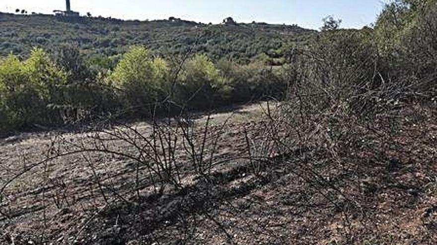 Els Bombers extingeixen un petit foc a la Font de la Pólvora