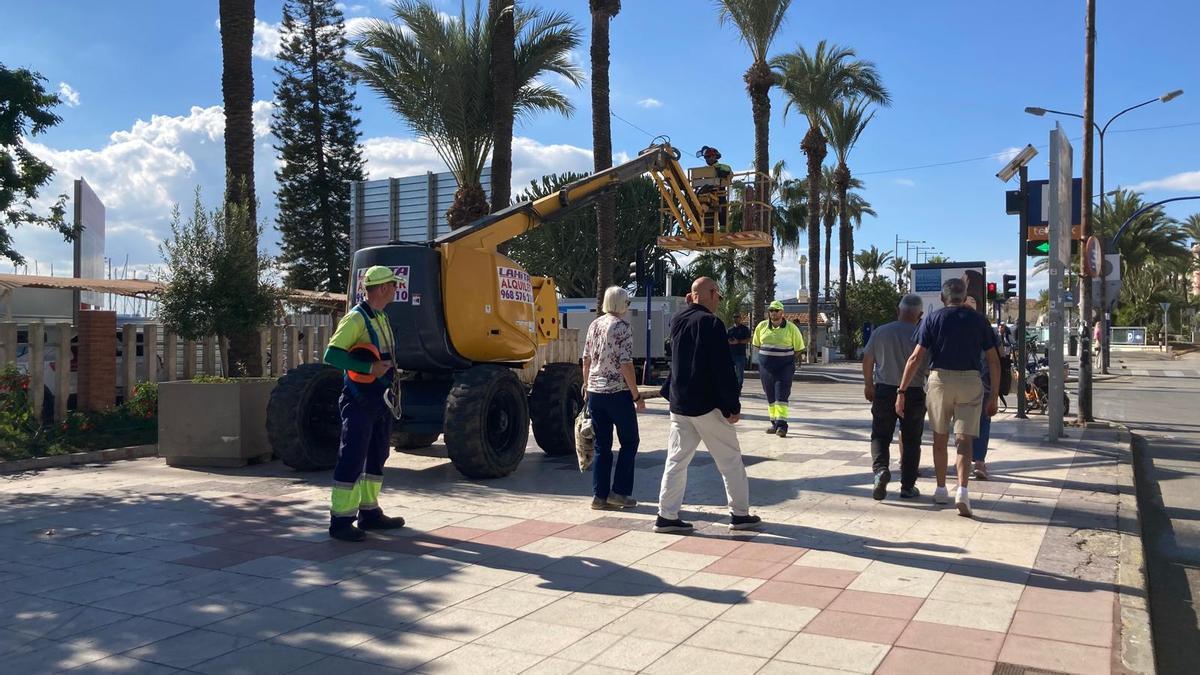 Arde una elevadora usada para inspeccionar si las palmeras tienen picudo en Torrevieja