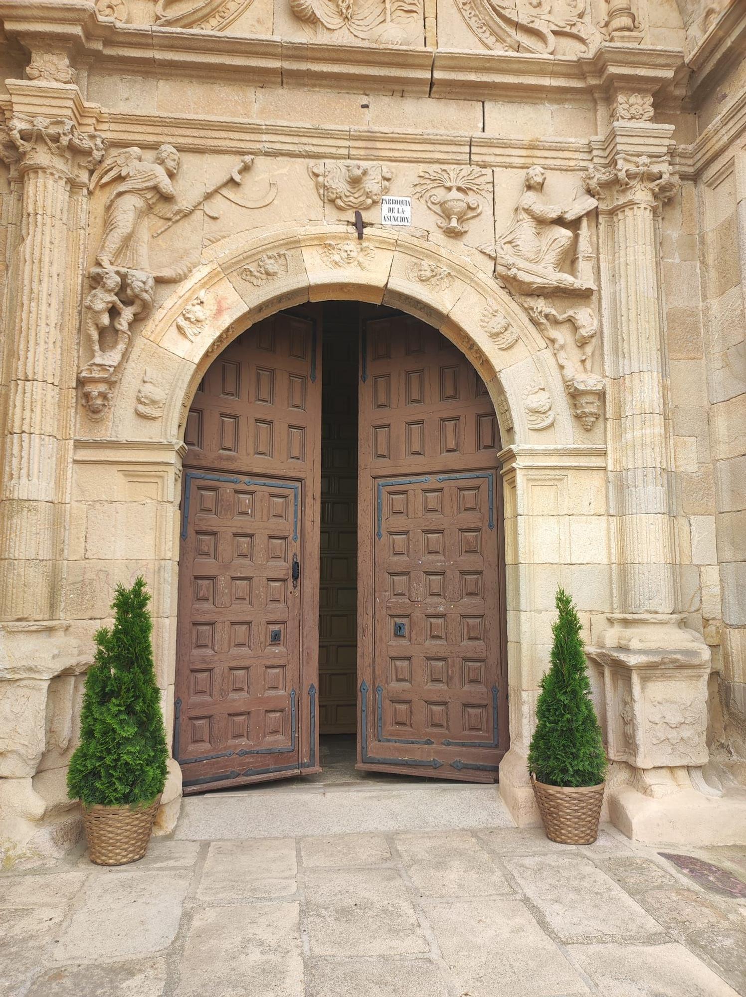 Setos robados en Zamora.