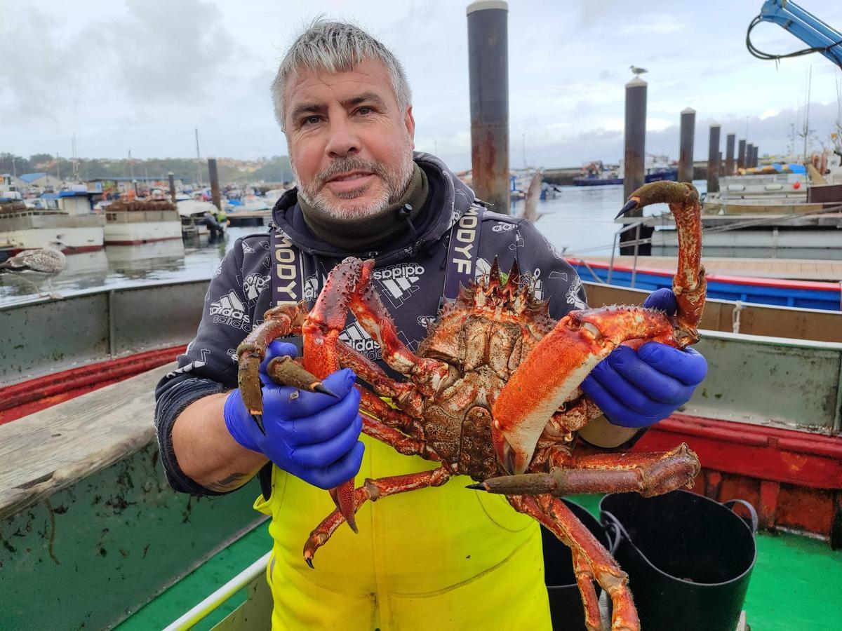 Cangas, llena con 1.407 kilos de centollas