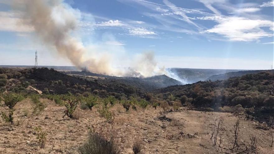 Frente del fuego que se ve desde Fermoselle