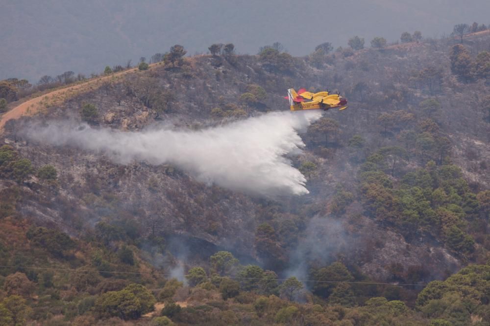 Sigue activo el incendio de Estepona, que obliga ...