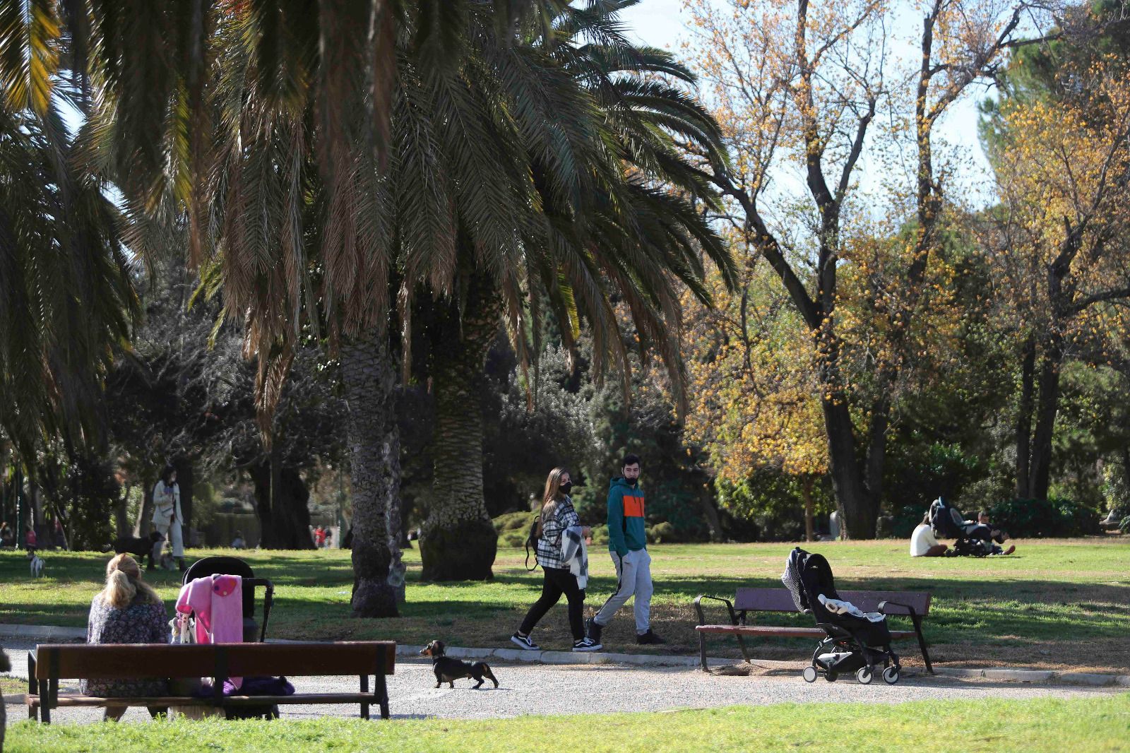 El Jardín del Túria, un 'Central Park' que cruza la ciudad