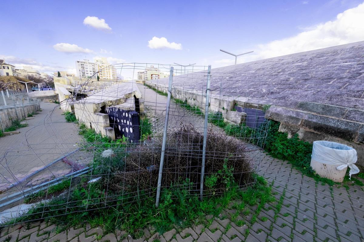 Umgestürzte Zäune, Unkraut: So sieht es auf der halbfertigen Stadtmauer aus.