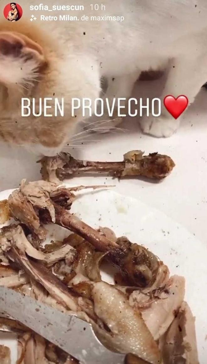 El gato de Sofía Suescun comiendo pollo