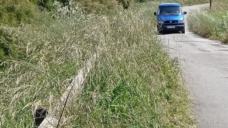 La maleza se come las carreteras en Gozón, urgen el desbroce de la vía a Xagó: &quot;Ya solo pasa un coche&quot;