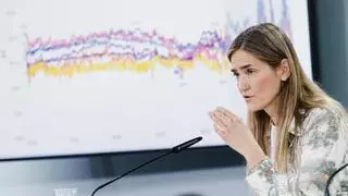 El Gobierno ordena a la CNMC vigilar más a las compañías para evitar nuevos apagones