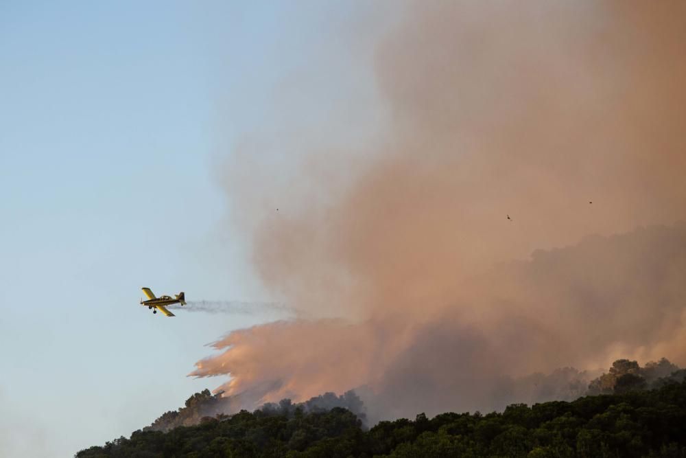 Incendio forestal en Ibiza