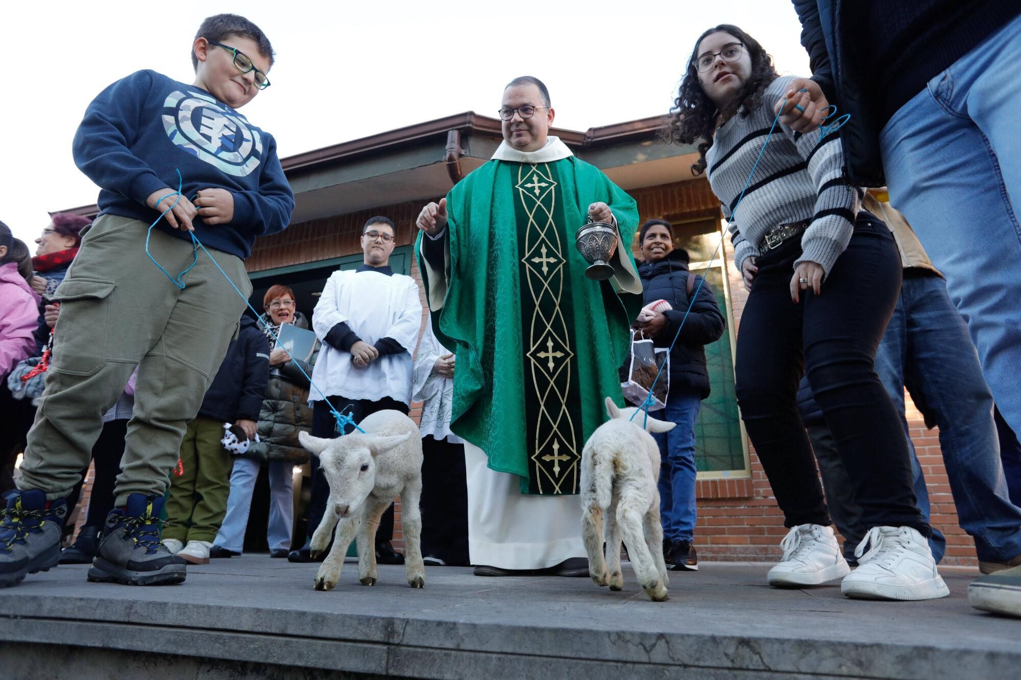 En imágenes: Así fue la bendición de animales por San Antonio en Avilés
