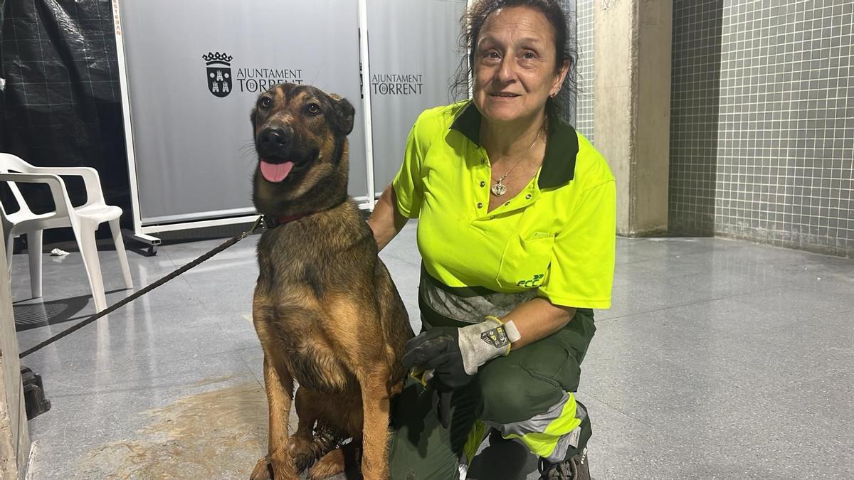 La perra también fue rescatada y atendida en Torrent.