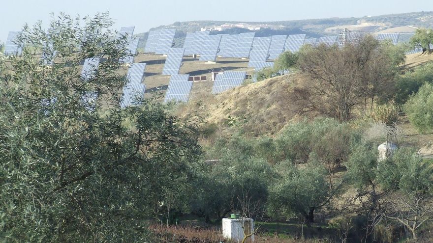 Un plan regulará los megaproyectos fotovoltaicos en Montilla