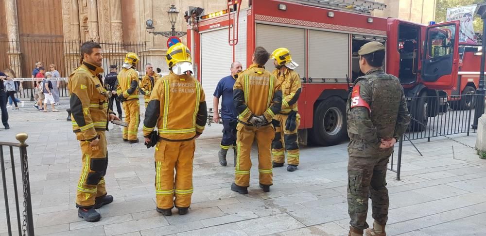 Simulacro de incendio en el Palacio de la Almudaina