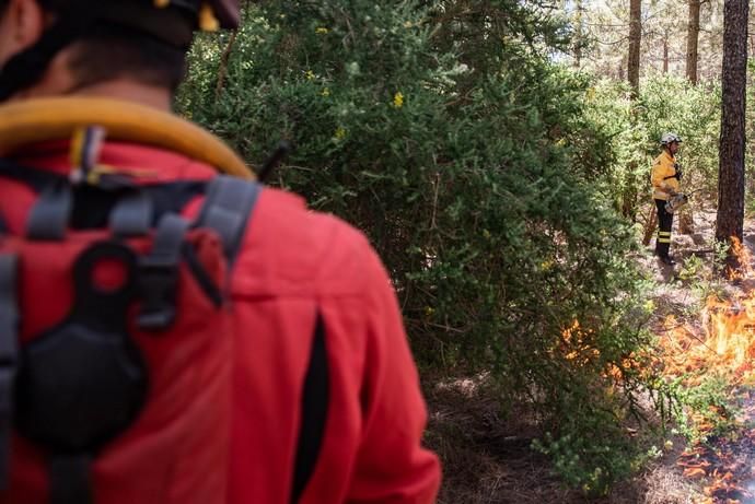 La UME realiza prácticas de prevención de incendios en Gran Canaria