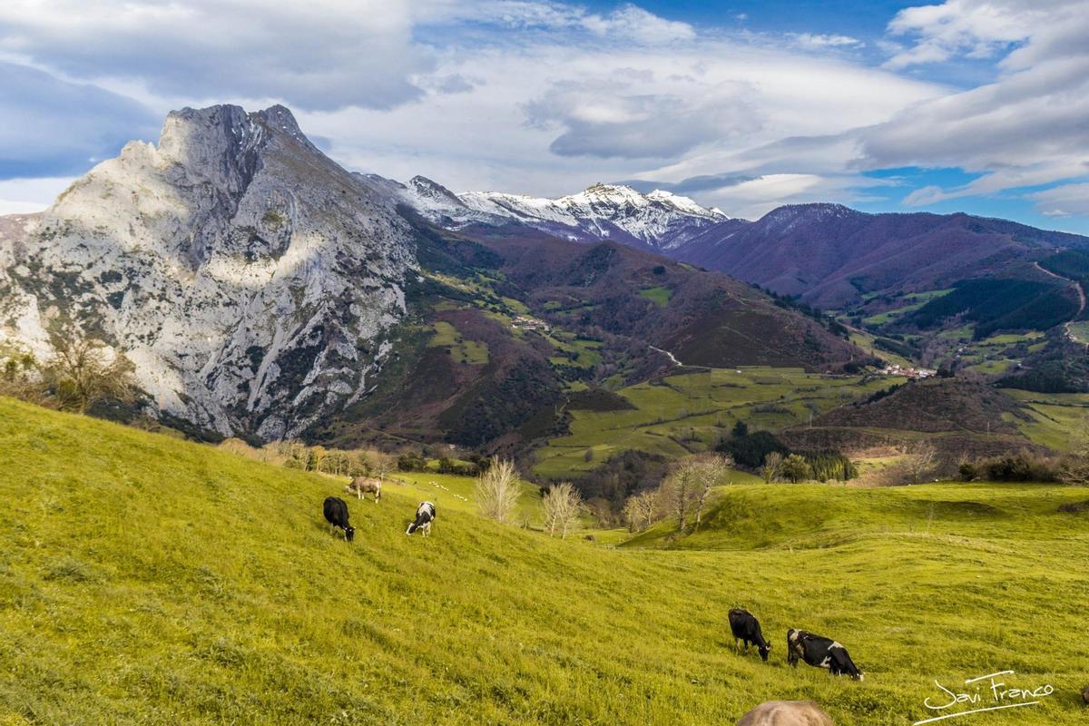 Picos de Europa