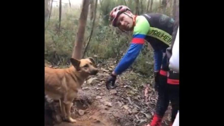 Un grupo de ciclistas rescata a un perro que había sido atado a un árbol para que muriera de hambre