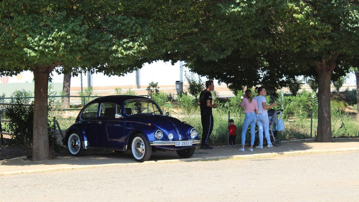 Concentración de coches clásicos en Antequera