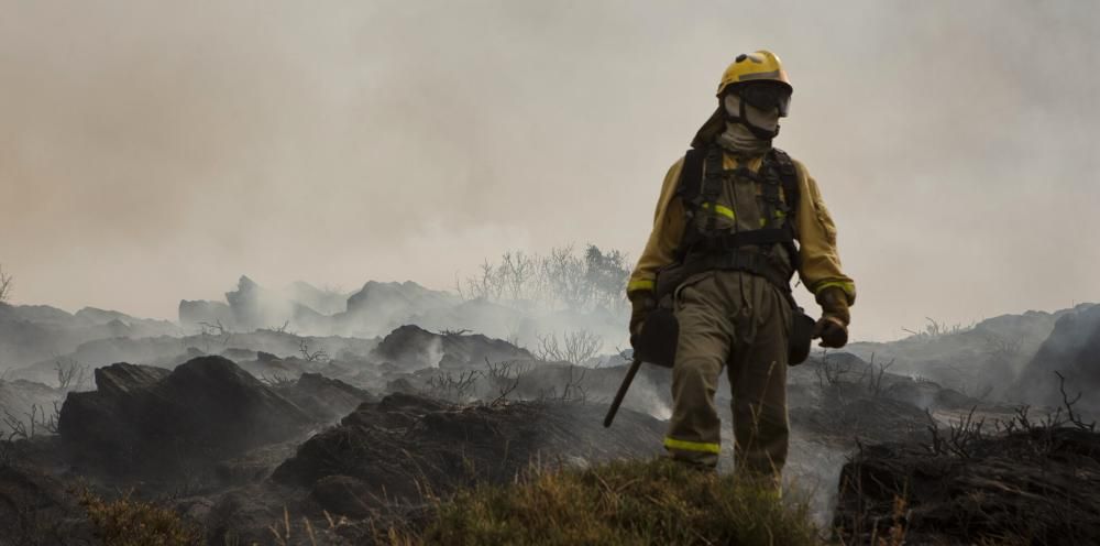 Incendio en los montes de León