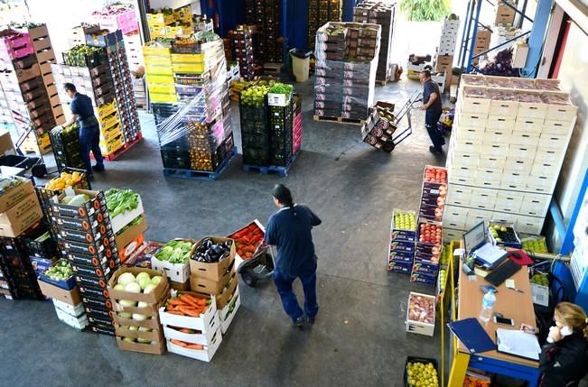 BENITO ALVAREZ PROVEEDOR CANARIO FRUTAS VERDURAS