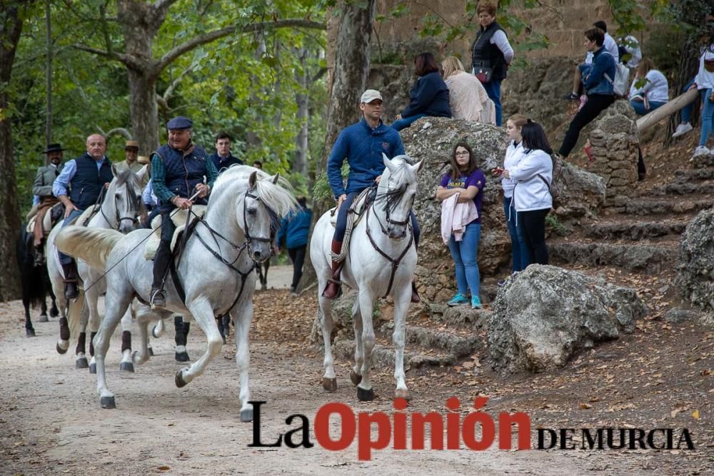 Romería del Bando de los Caballos del Vino de Cara