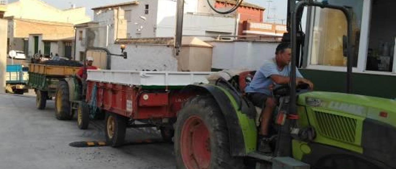 Turís arranca la vendimia con una ligera merma de cosecha pero una mayor calidad