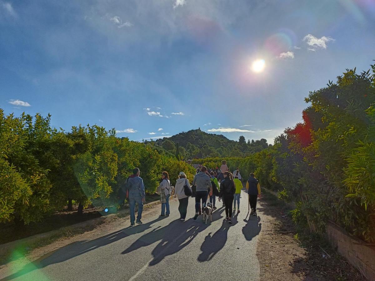 Romeria de Sant Antoni a Betxí.