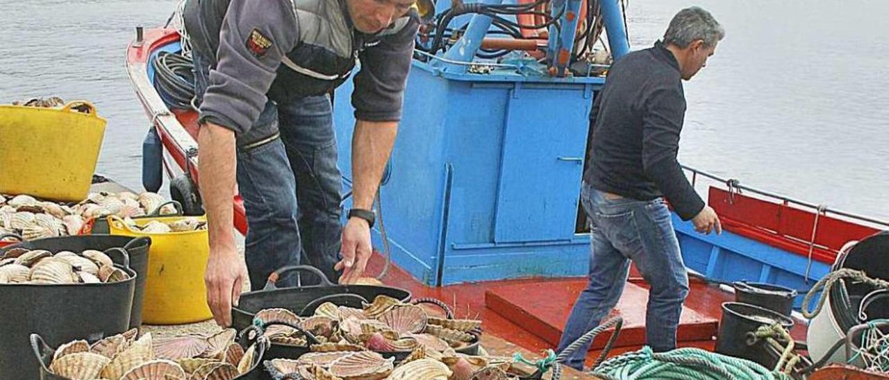 El barco &quot;Celita&quot;, de Bueu, descargando parte de las capturas durante la anterior campaña. // S.Álvarez