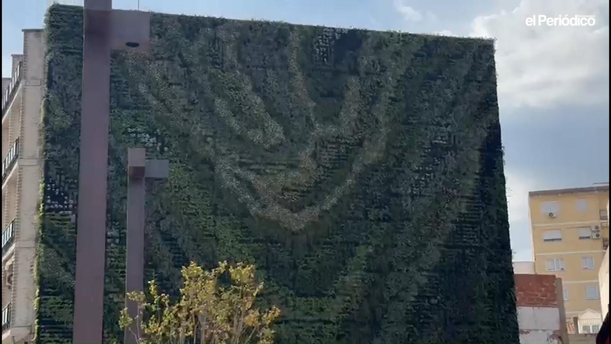 Vídeo | El jardín vertical de Santa Eulalia, un nuevo atractivo para volver a Mérida y visitar la Basílica