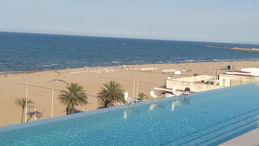 La nueva piscina 'infinity' en la azotea del hotel Bayrén de Gandia