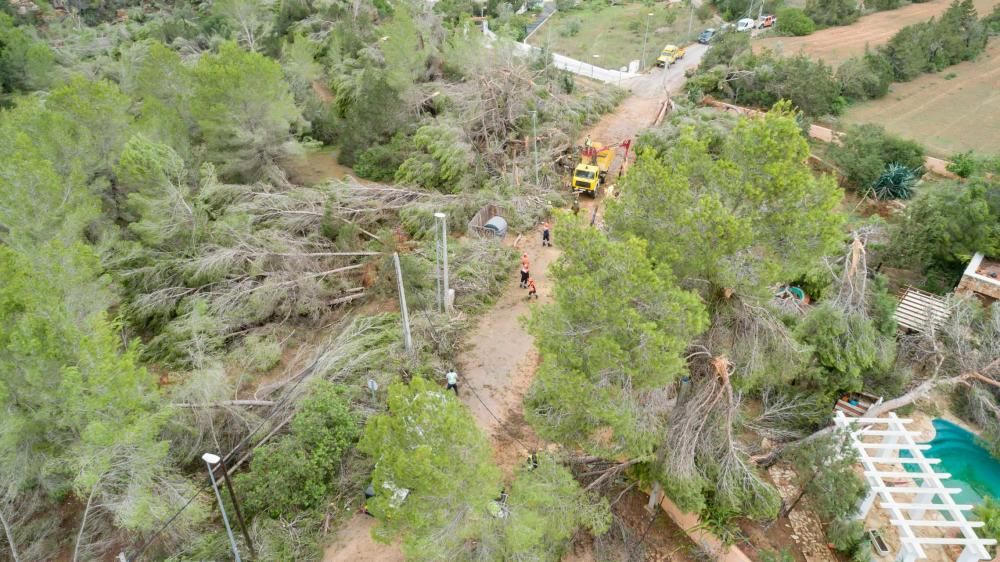 La palabra que más empleaban vecinos y curiosos para describir el paisaje era «guerra»