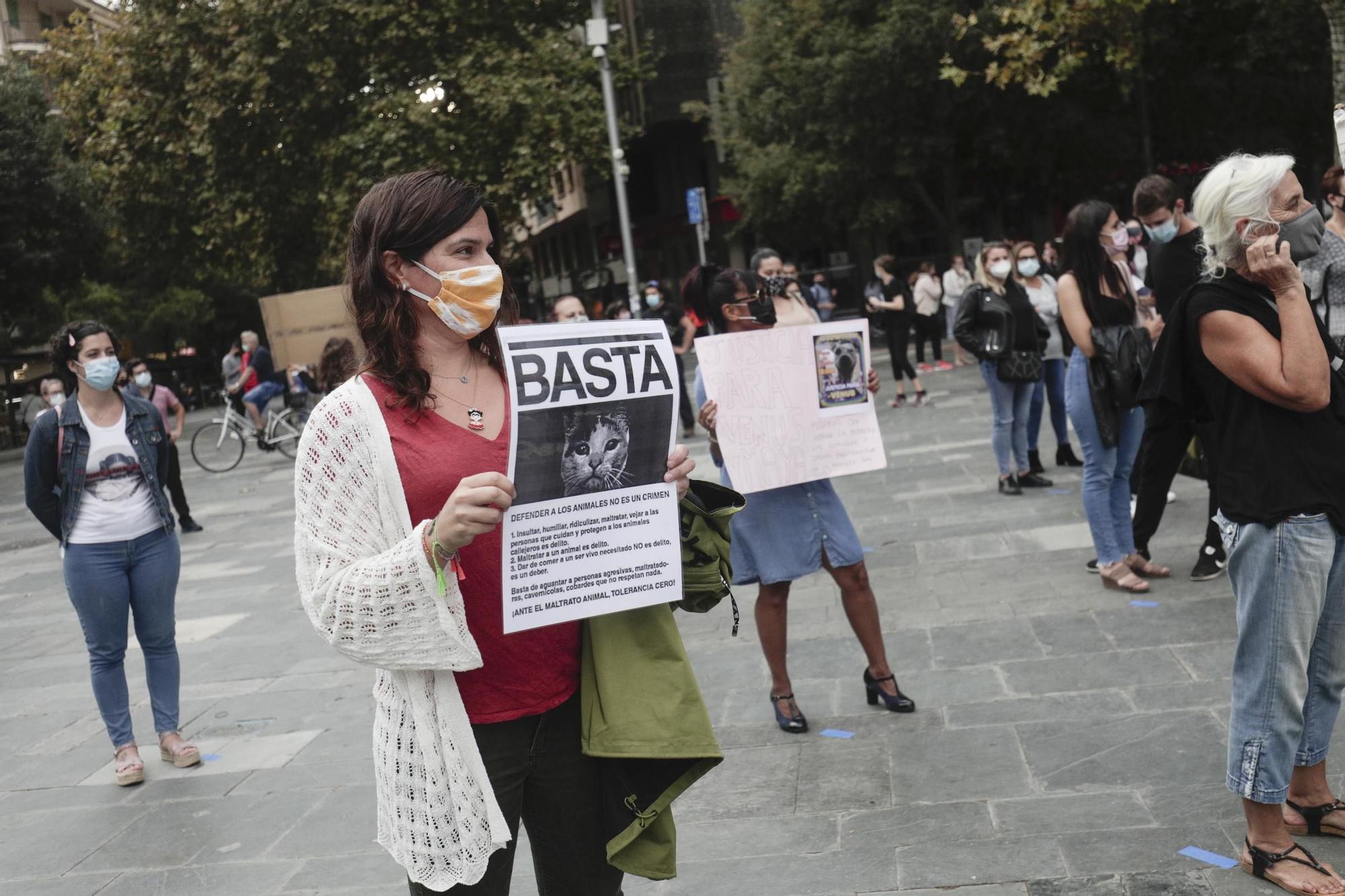 Palma celebra la Fira del Llibre