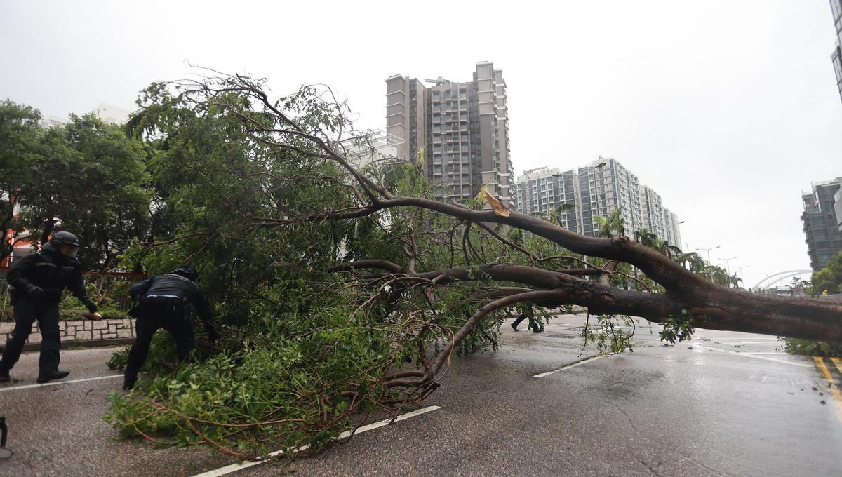Taiwán cuenta 14 muertos tras el paso del tifón Ragasa, que golpea hoy el sureste de China