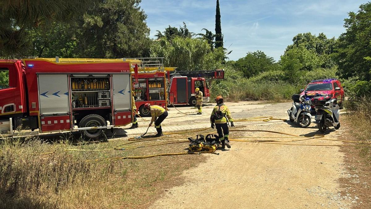 Quatre dotacions dels Bombers de la Generalitat han treballat en l’extinció del foc, amb el suport de la Policia Local de Blanes