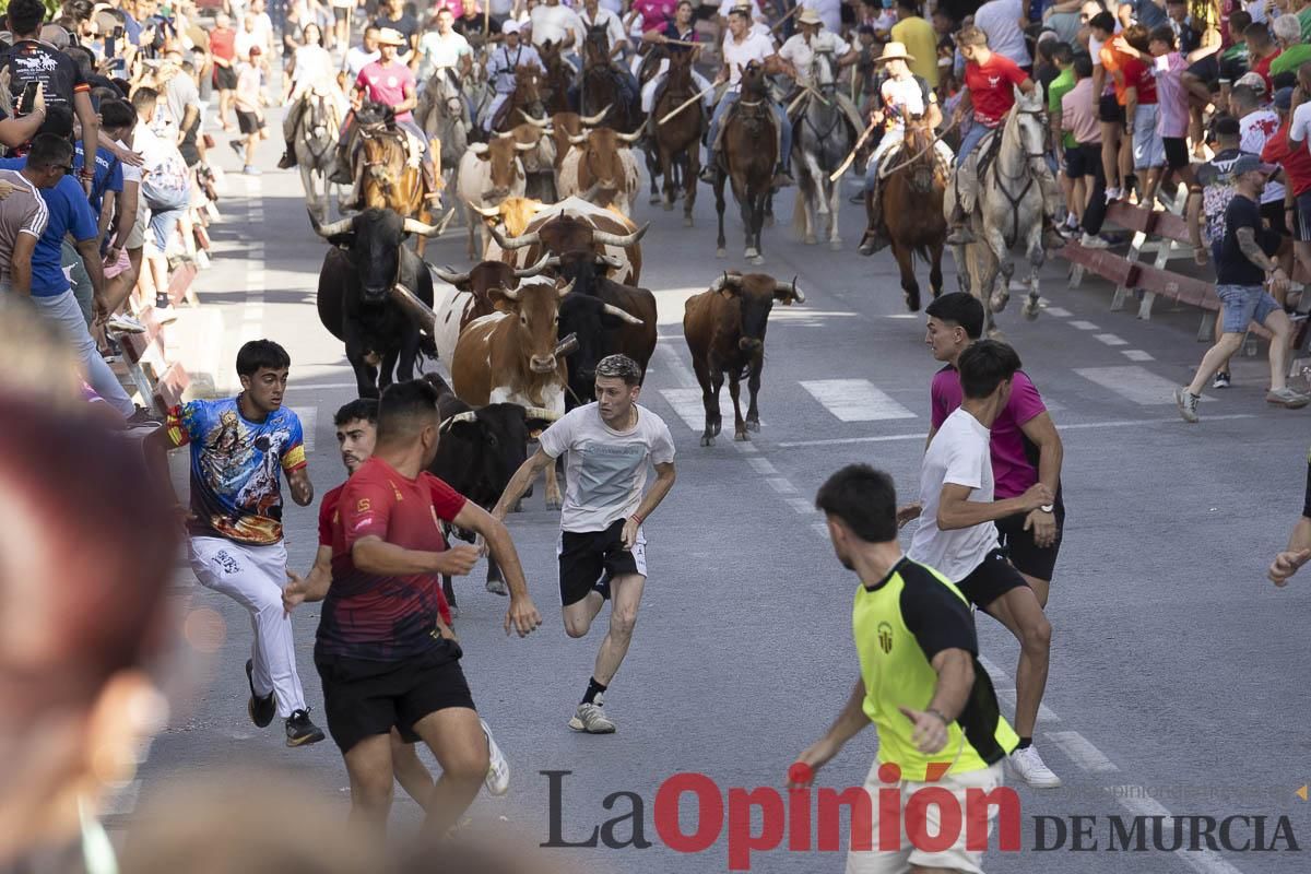 Quinto encierro de las Fiestas de Moratalla