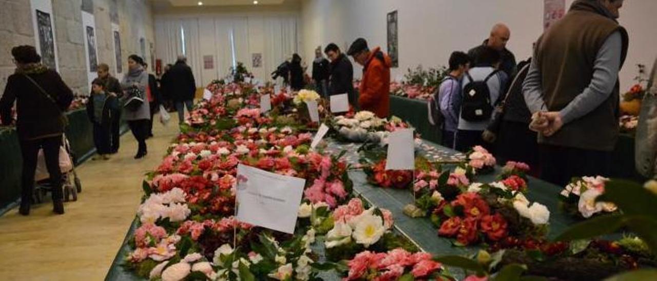 Una de las pasadas ediciones de la feria de la camelia de Tui.