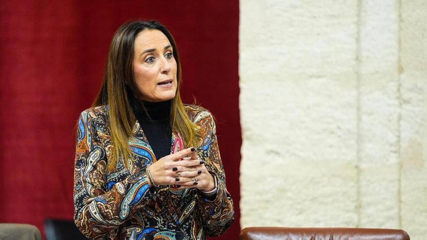 El PP destaca que Andalucía ha batido un récord en dependencia con más de 340.000 personas atendidas