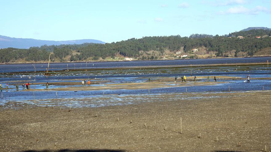 Mareas vivas y marejada en la ría