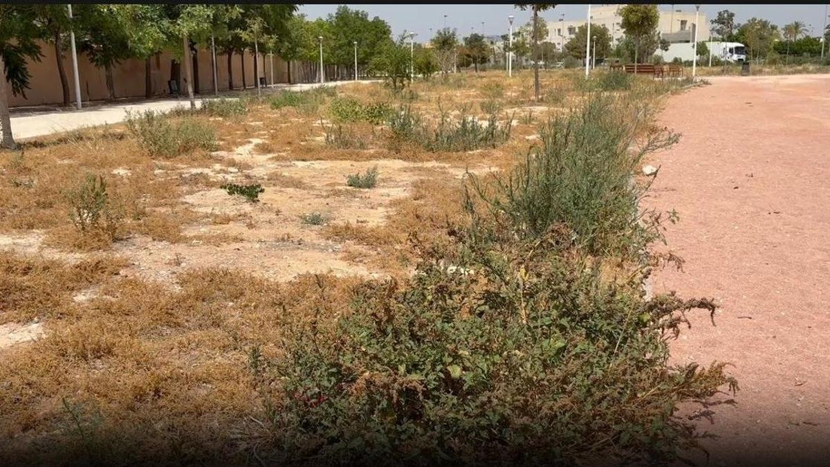 Jardín de las víctimas del covid repleto de maleza en una imagen facilitada por el PSOE de Elche
