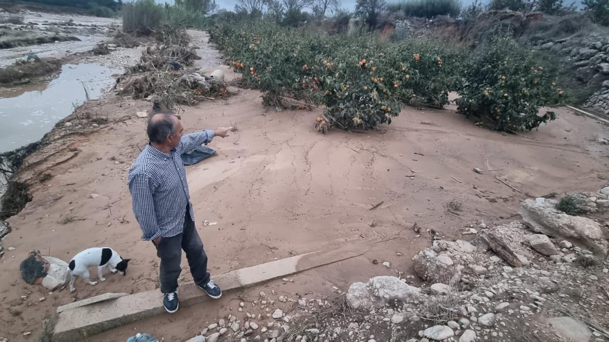 Manolo Sanz en su campo de Alfarb, arrasado por la crecida del río Magro.