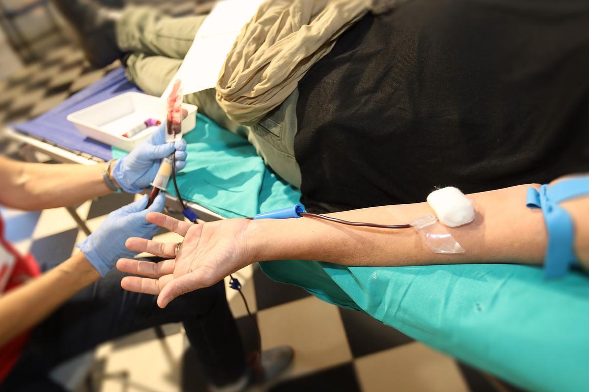 Donación de sangre en la Diputación de Alicante