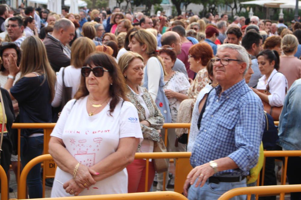 Besamanos a la Virgen de los Desamparados