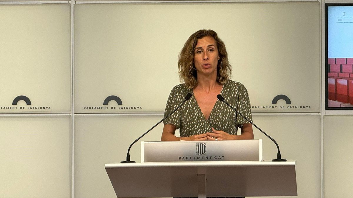 La diputada de la CUP en el Parlament, Laia Estrada, en roda de premsa