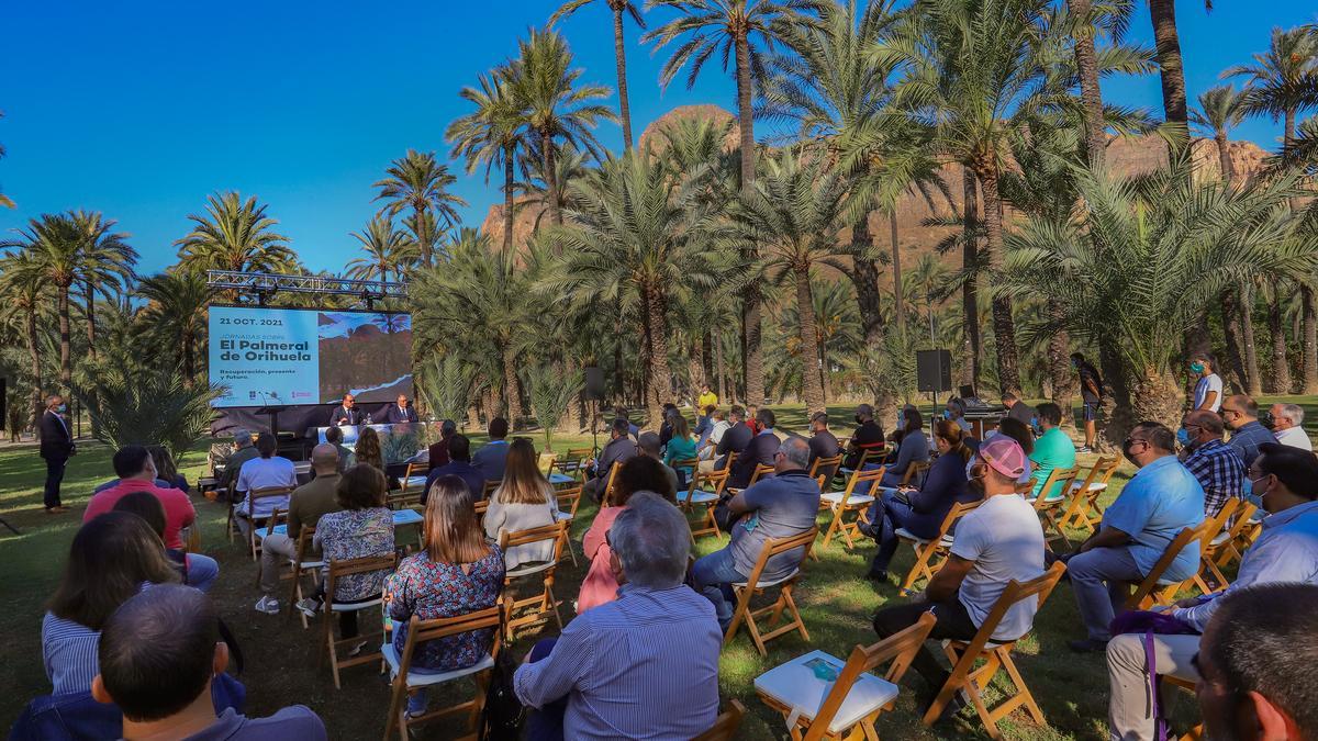 Presente y futuro del Palmeral de Orihuela