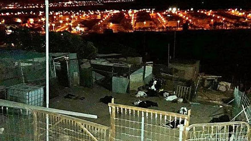 Cabras muertas en su corral tras ser atacadas por los perros peligrosos.