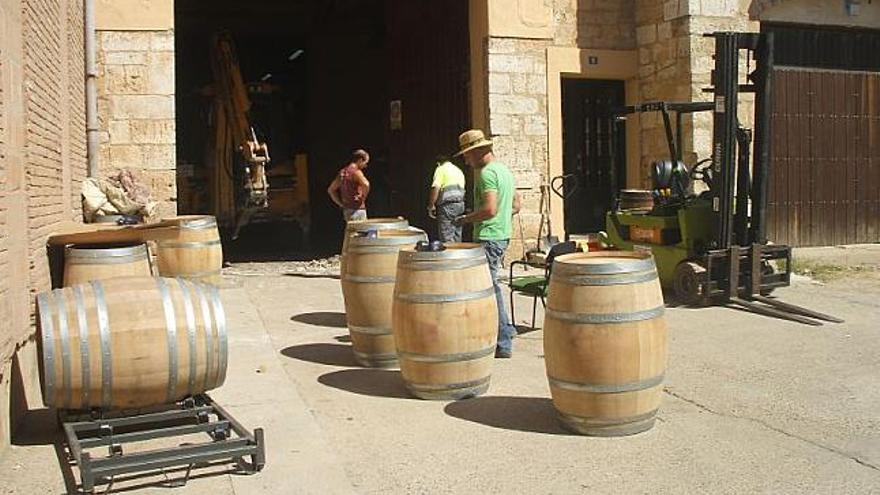 Una bodega de la DO Toro prepara sus instalaciones para la vendimia.