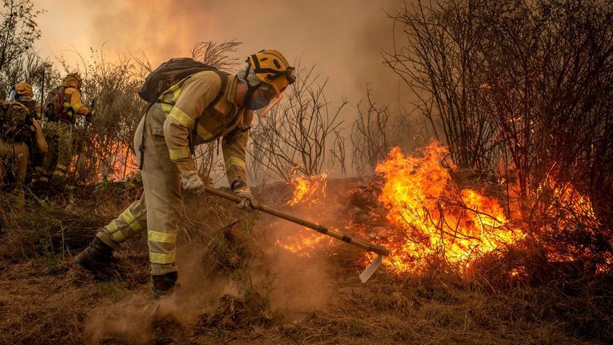¿Se pueden predecir los incendios forestales?