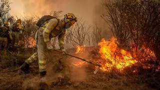 ¿Pueden predecirse los incendios forestales?