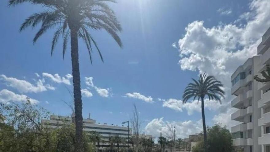Piden 3.500 euros al mes por una habitación en Ibiza en pleno verano