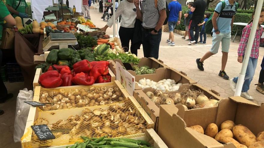 Alzira convierte el estilo de vida sana en una feria