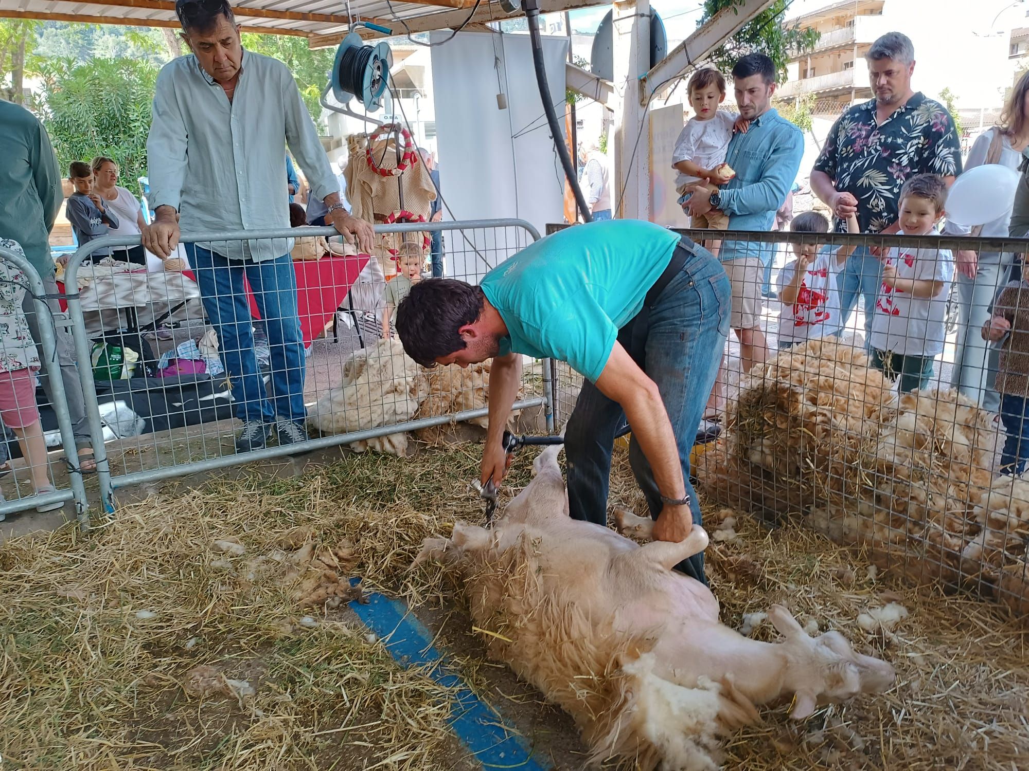 FOTOS | Las ferias de este domingo en distintos pueblos de Mallorca, en imágenes