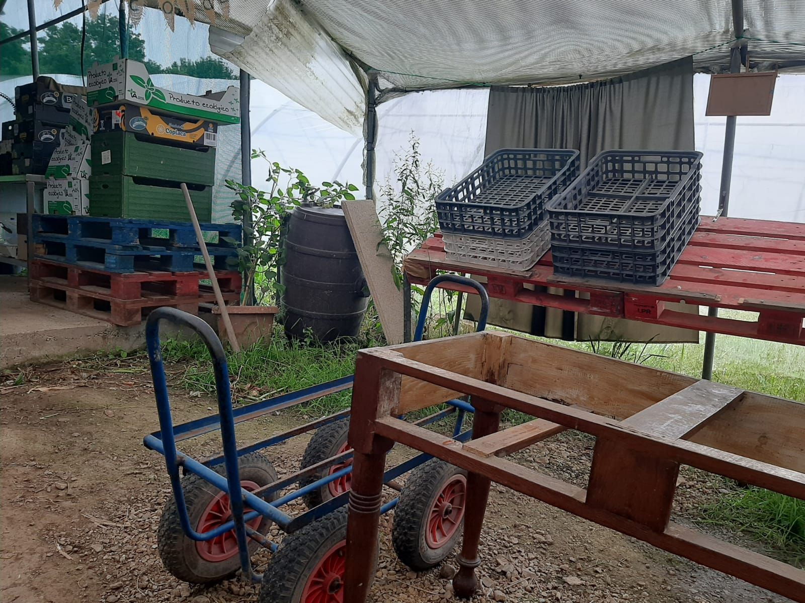 Así es Rural Ecolab, un paraíso de producción ecológica en Llanera